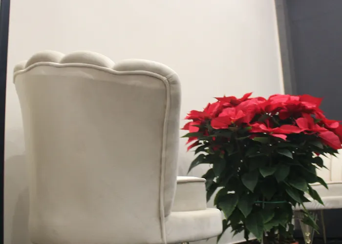 Bed & Breakfast My Luxury